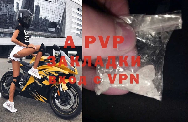 гидра Аркадак