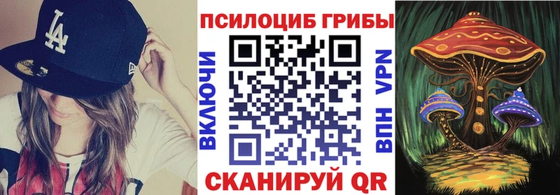 наркошоп  Юрьевец  ОМГ ОМГ ссылки  Псилоцибиновые грибы мицелий 